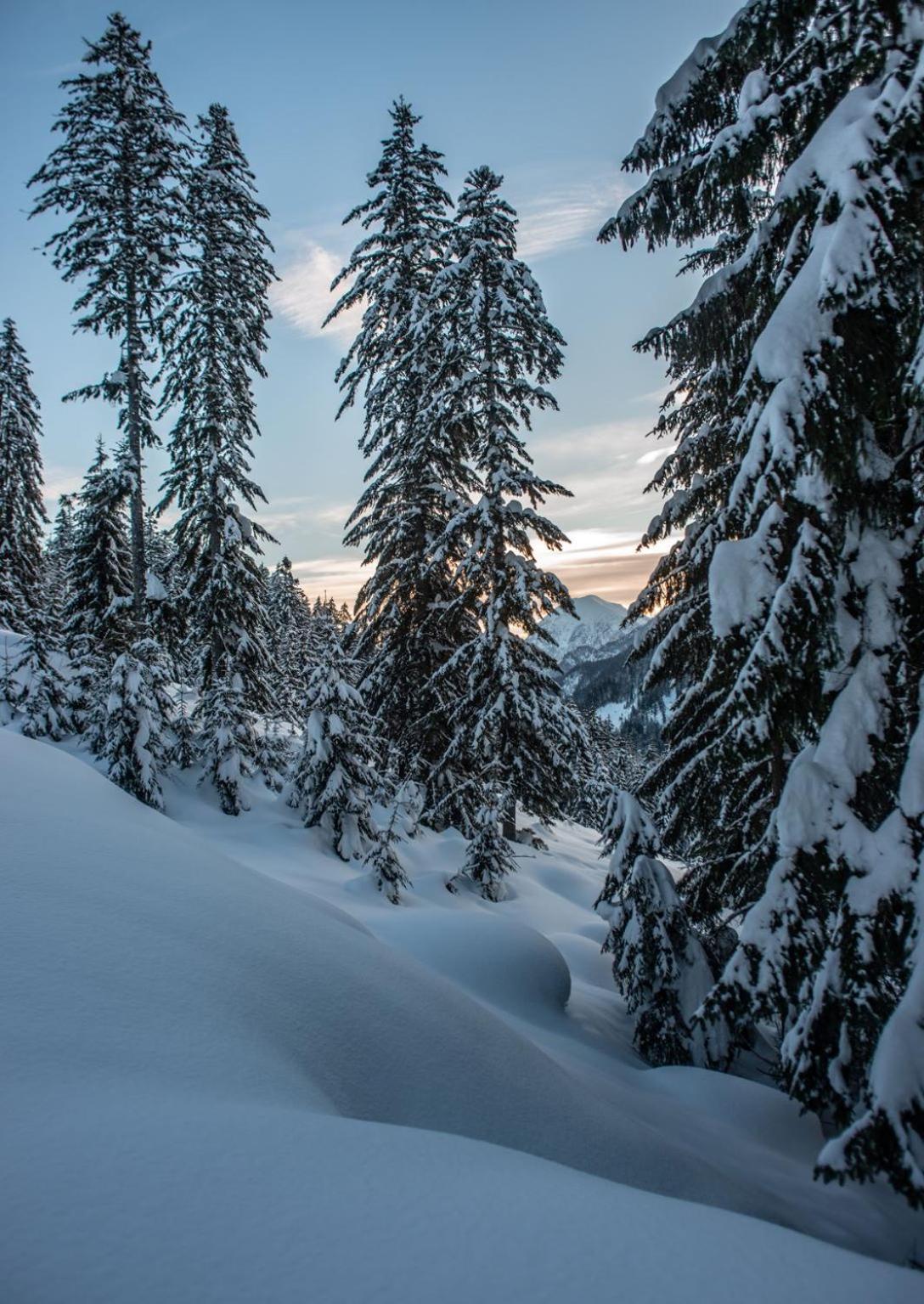 Naturparkresort Geoapartment Gams bei Hieflau Dış mekan fotoğraf