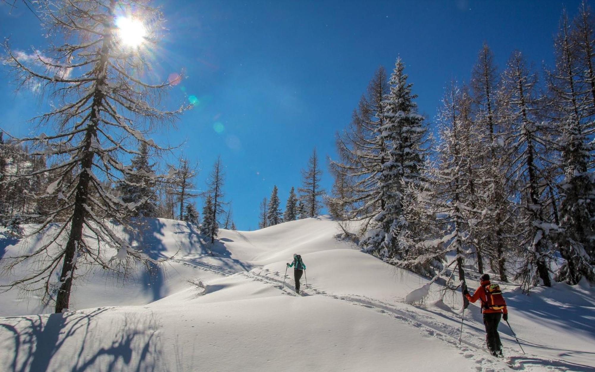 Naturparkresort Geoapartment Gams bei Hieflau Dış mekan fotoğraf